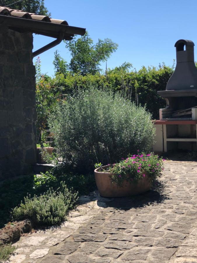 Il Soffio Di Eolo Bed and Breakfast Bagnoregio Εξωτερικό φωτογραφία